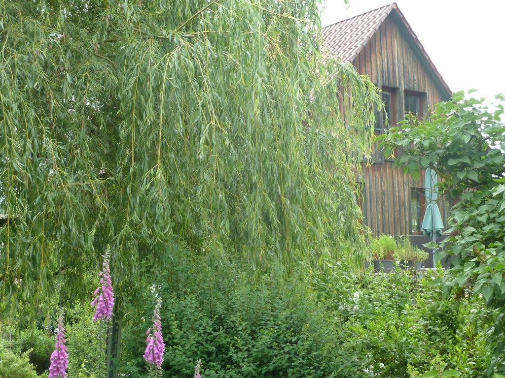 Ferienwohnung Lotti Brotterode Oda fotoğraf